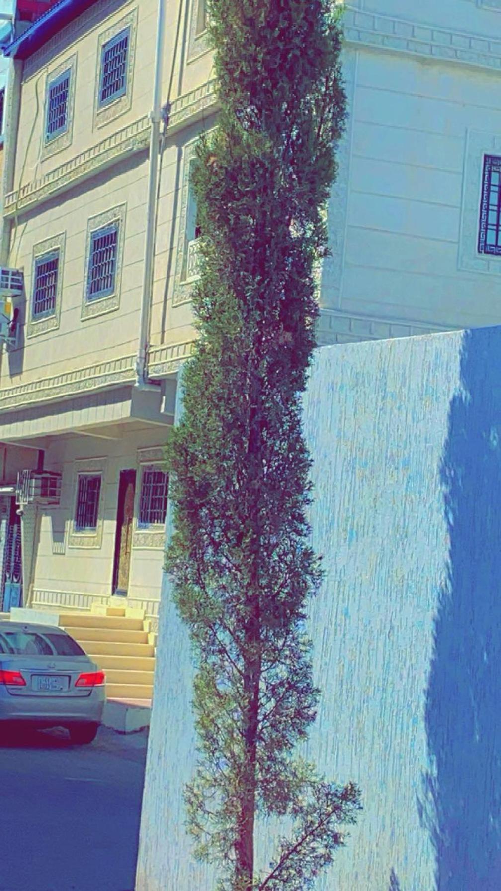 Retal 2 Apartment